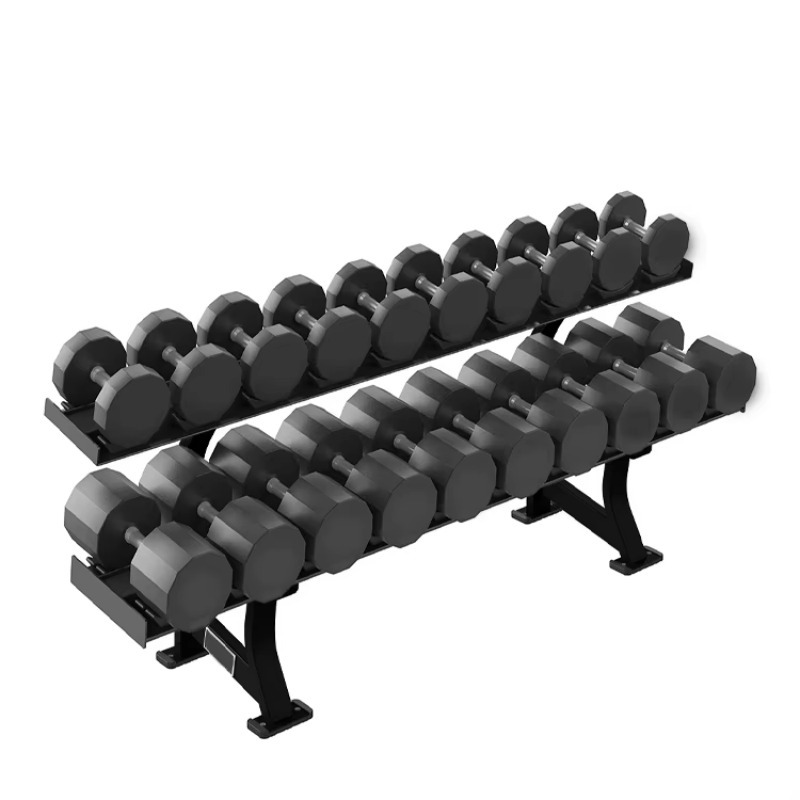 2-Tier 10 Pairs Dumbbell Stora - Heavy Equipment Gym 评论和价格